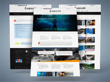 Website design for companies