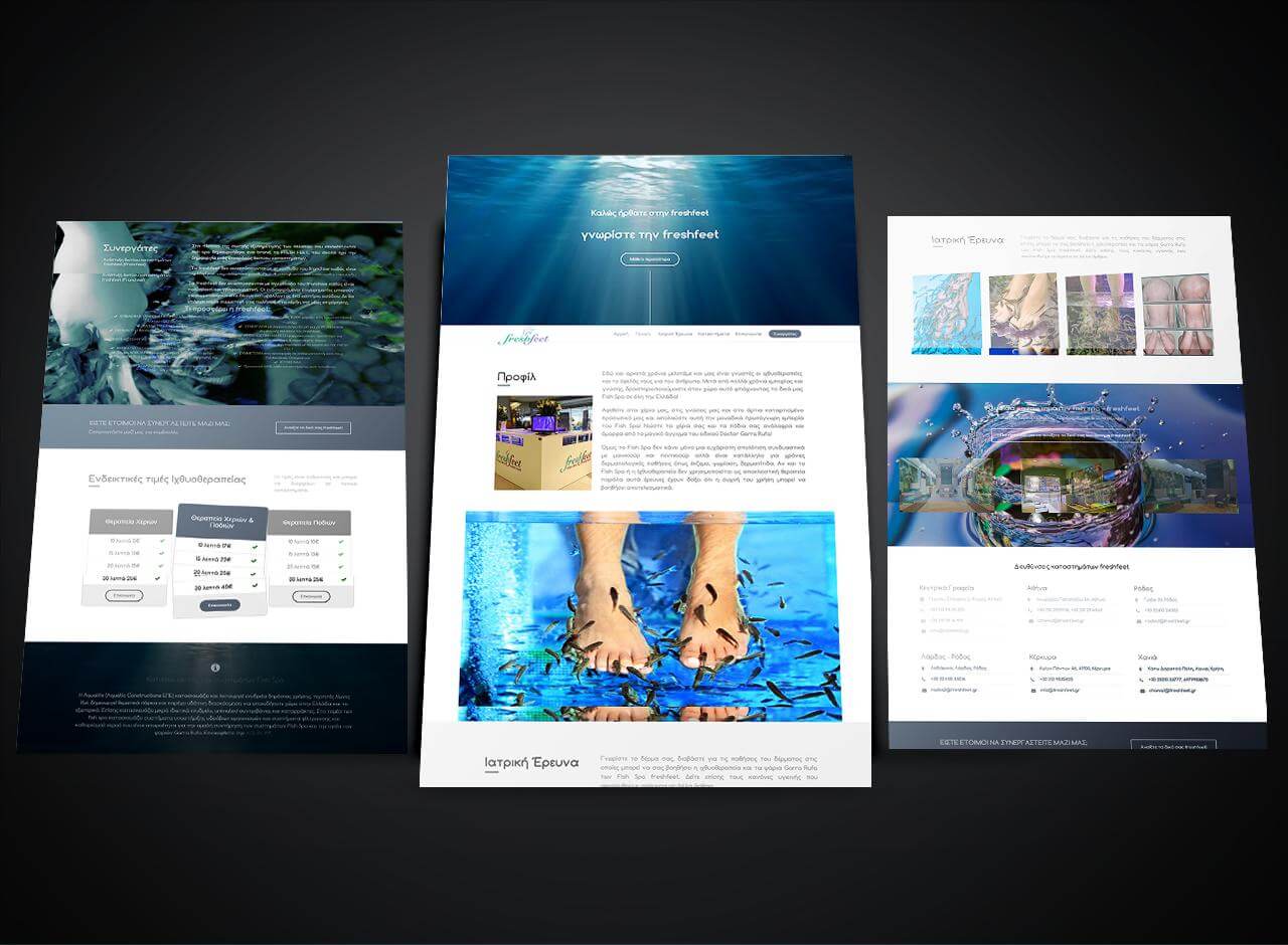 FISH SPA Company Website development